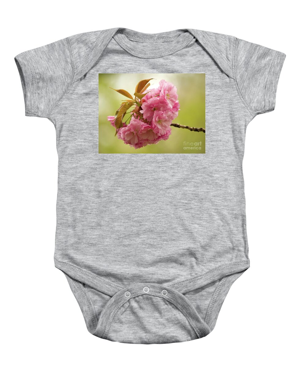 Central Park Baby Onesie featuring the photograph Springtime Blossoms In Central Park 3 by Dorothy Lee