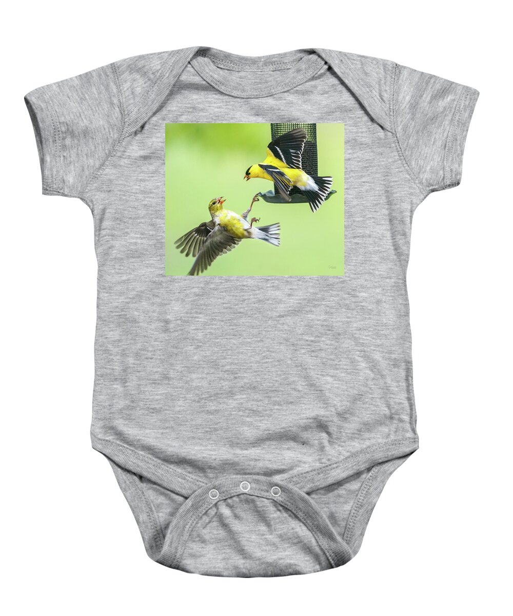 Goldfinches Baby Onesie featuring the photograph Squabble at the Feeder by Judi Dressler