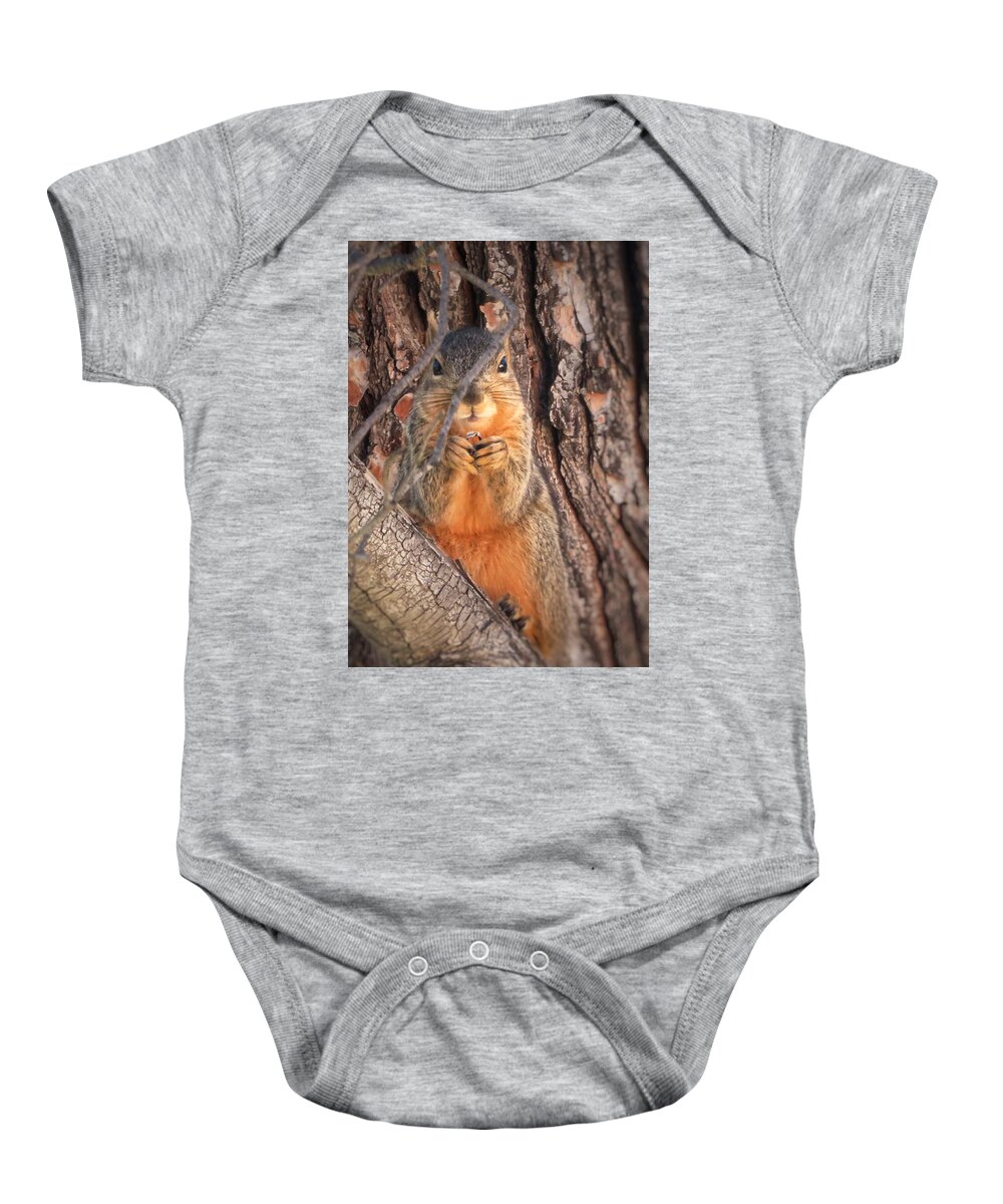 Squirrel Baby Onesie featuring the photograph Squirrel eating in tree by David Zumsteg