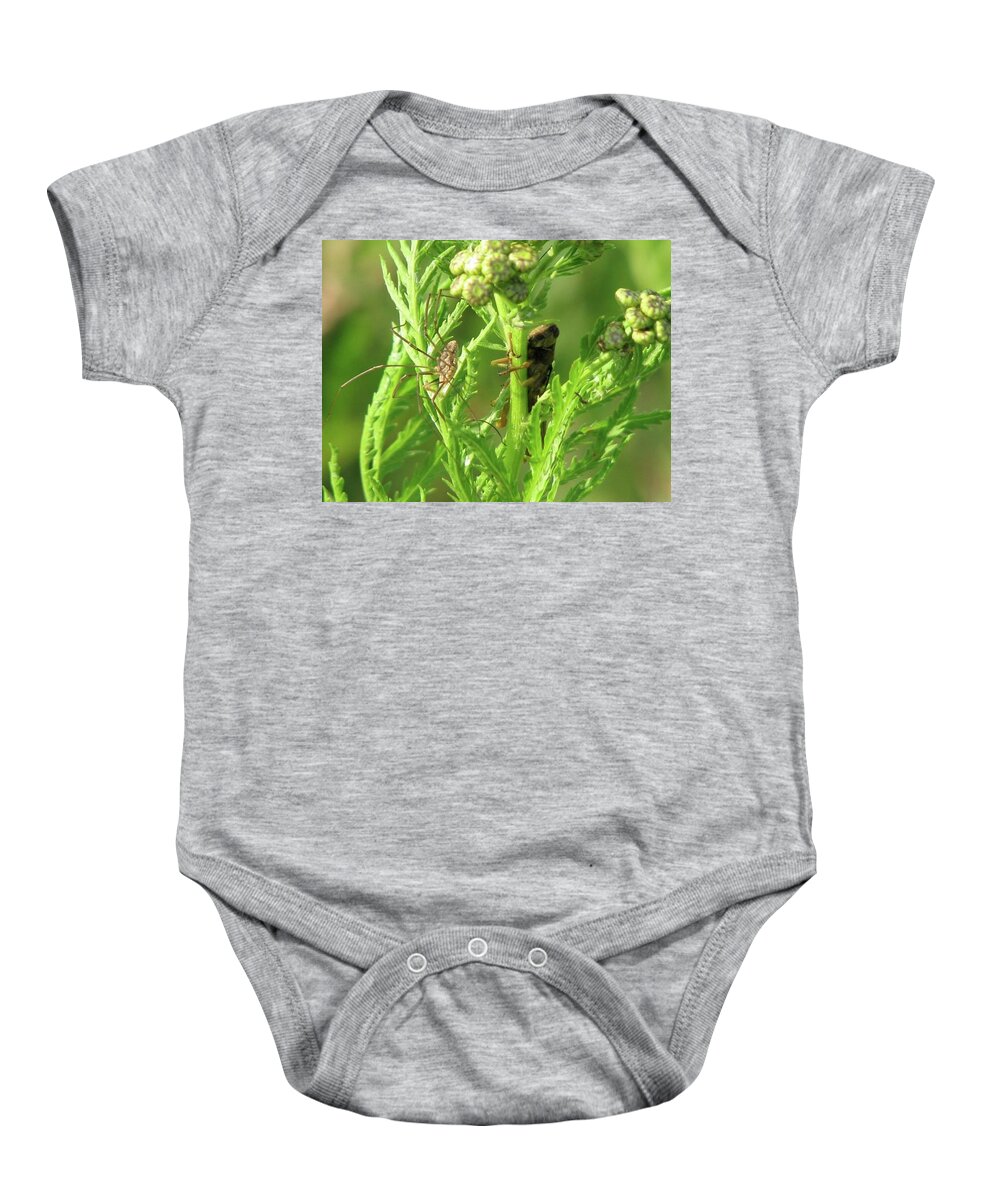 Spider Baby Onesie featuring the photograph Standoff by Sharon Duguay