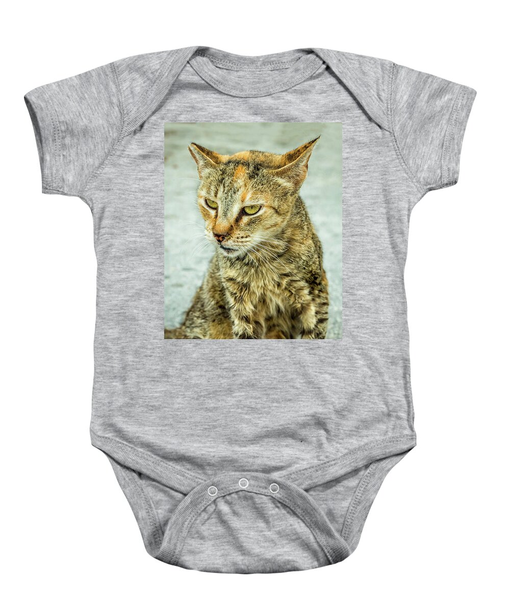 Cat Baby Onesie featuring the photograph Stray Cat Stare by Nick Bywater