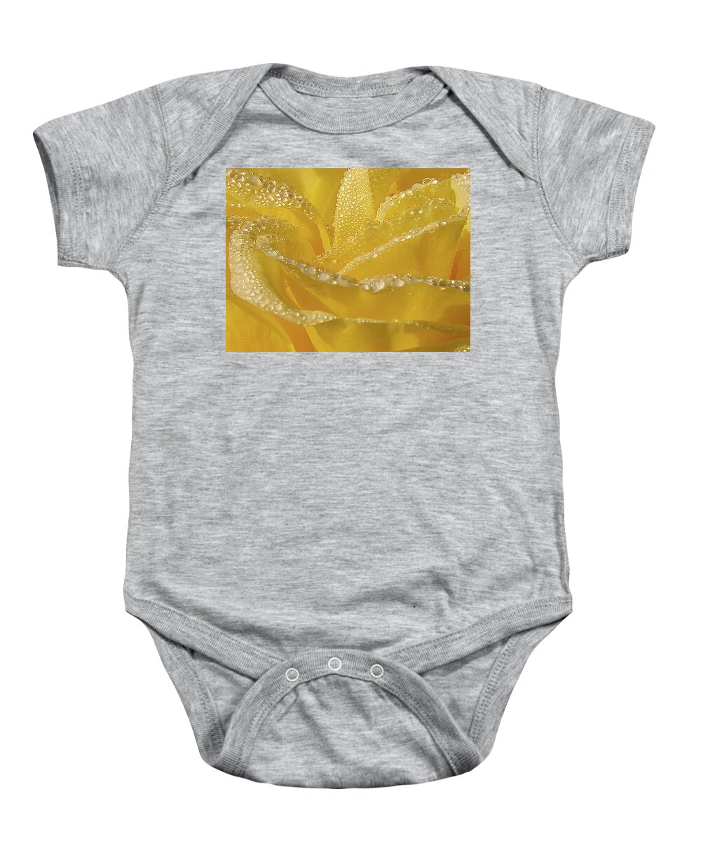 Floral Baby Onesie featuring the photograph Sun Drenched Rose Macro by Blair Wainman