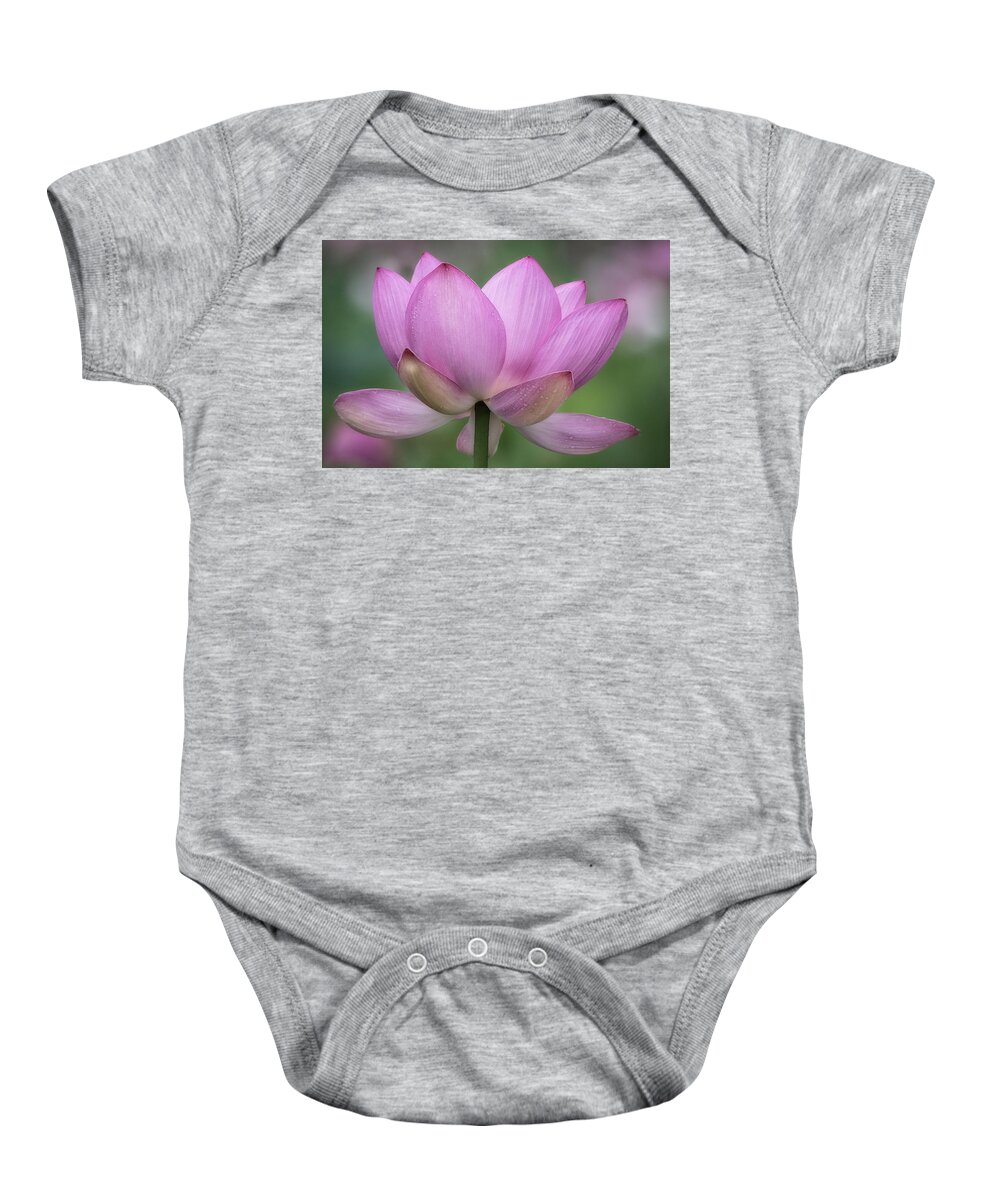 Lotus Baby Onesie featuring the photograph Sunday Morning by Robert Fawcett