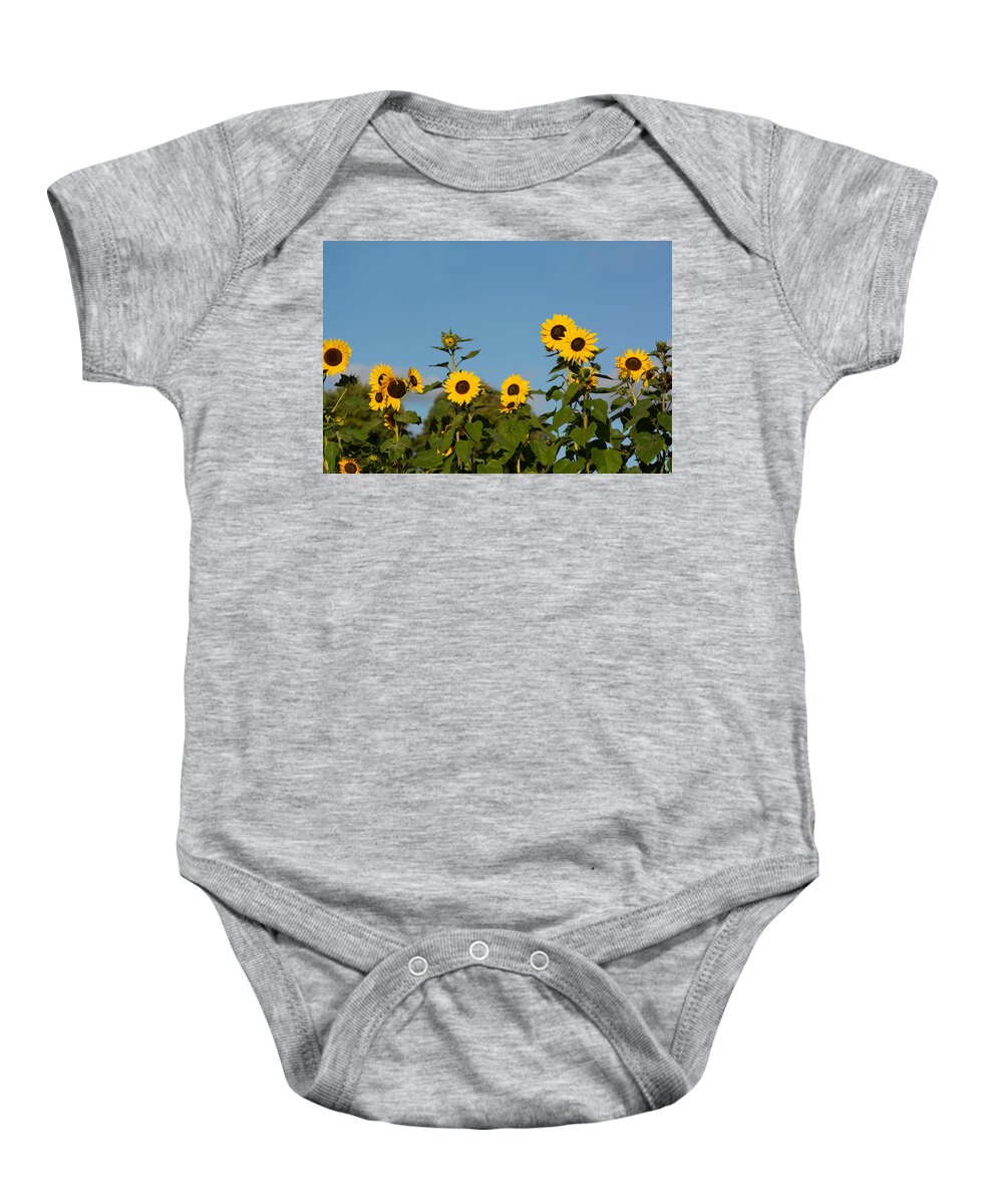 Nature Baby Onesie featuring the photograph Sunflower Lineup by Douglas Wielfaert