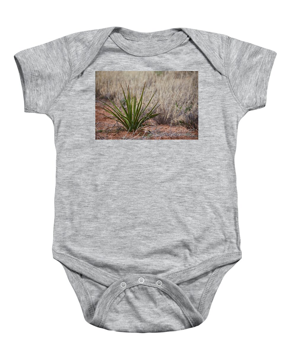 New Mexico Desert Baby Onesie featuring the photograph Surviving In The Desert by Robert WK Clark