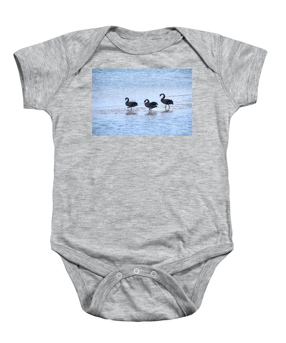 Swans Baby Onesie featuring the photograph Swans on parade by Fran Woods