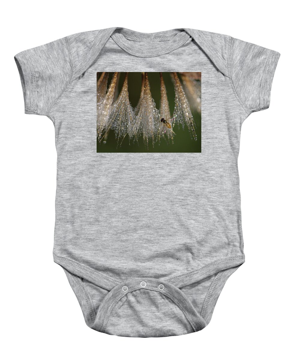 Syrphid Fly Baby Onesie featuring the photograph Syrphid Fly On A Dewy Morn by Daniel Reed