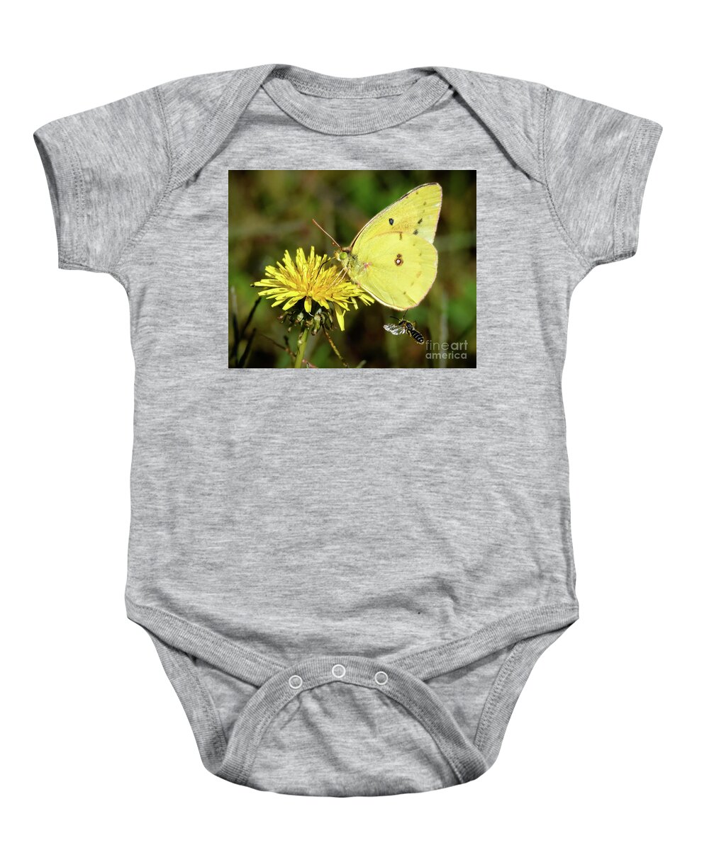 Sulphur Baby Onesie featuring the photograph The Bee and the Butterfly by Amy Porter
