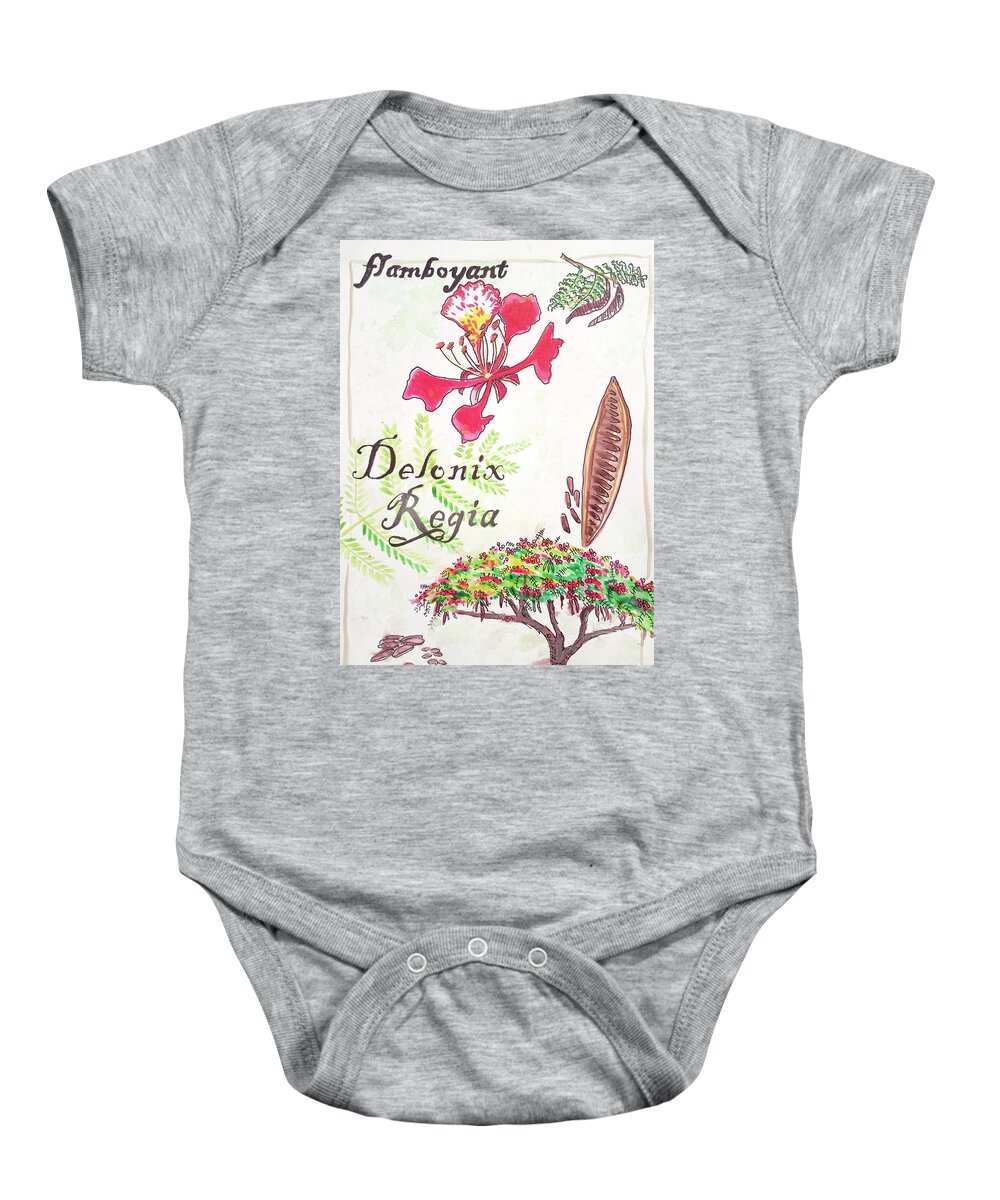 Botanical Baby Onesie featuring the drawing The Flamboyant tree by Tilly Strauss
