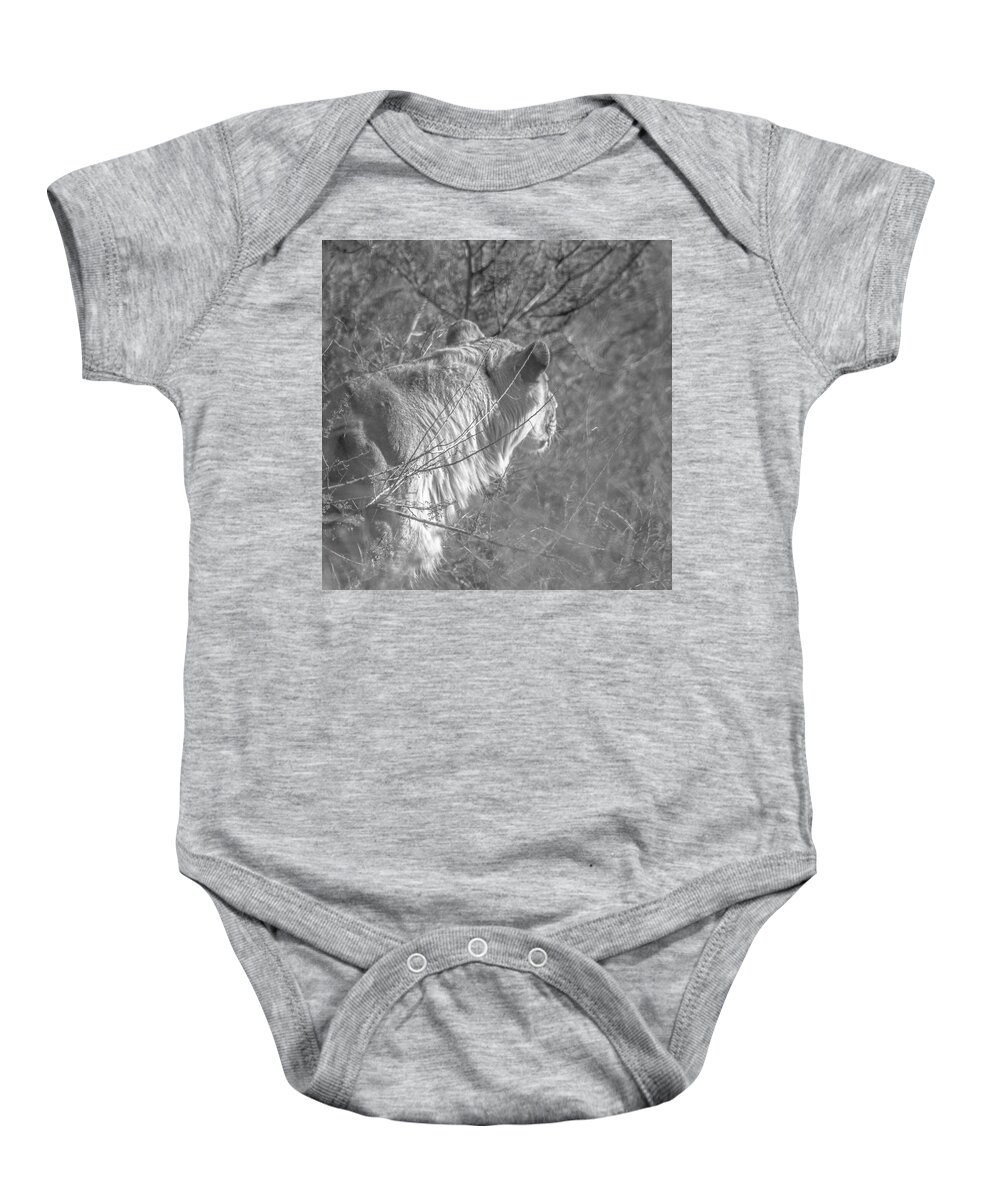 Arizona Baby Onesie featuring the photograph The Hunter by Darrell Foster