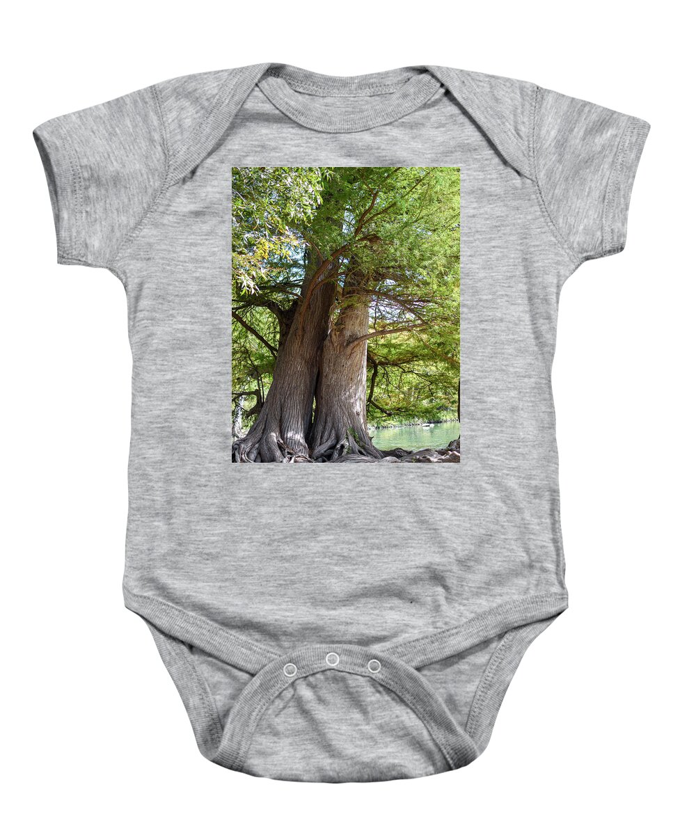 Photograph Baby Onesie featuring the photograph The Kissing Tree by Kelly Thackeray