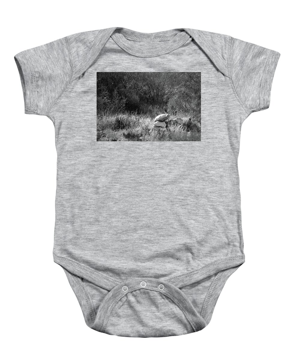 Richard E. Porter Baby Onesie featuring the photograph The Loner #0620 - Quail, Terrell County, Texas by Richard Porter