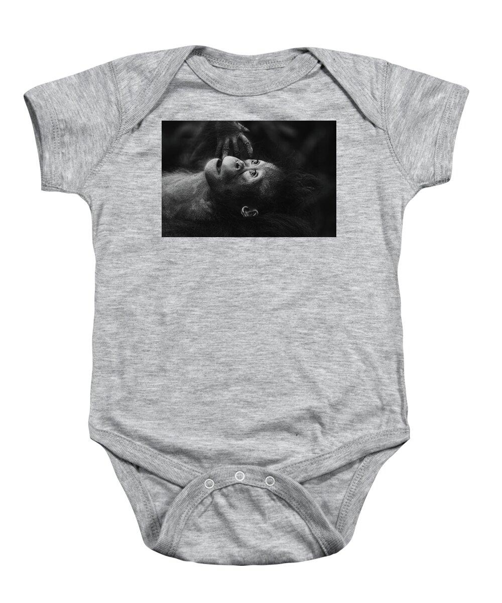 Orangutan Baby Onesie featuring the photograph The Wonder Of It All by Mountain Dreams