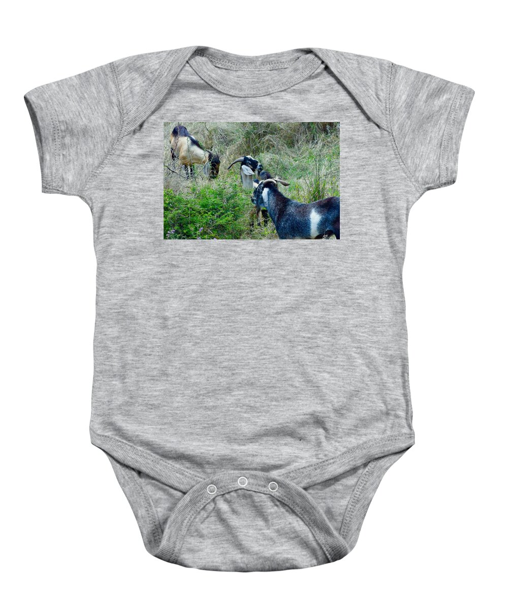 Three Grazing Goats Baby Onesie featuring the photograph Three Grazing Goats by Debra Grace Addison