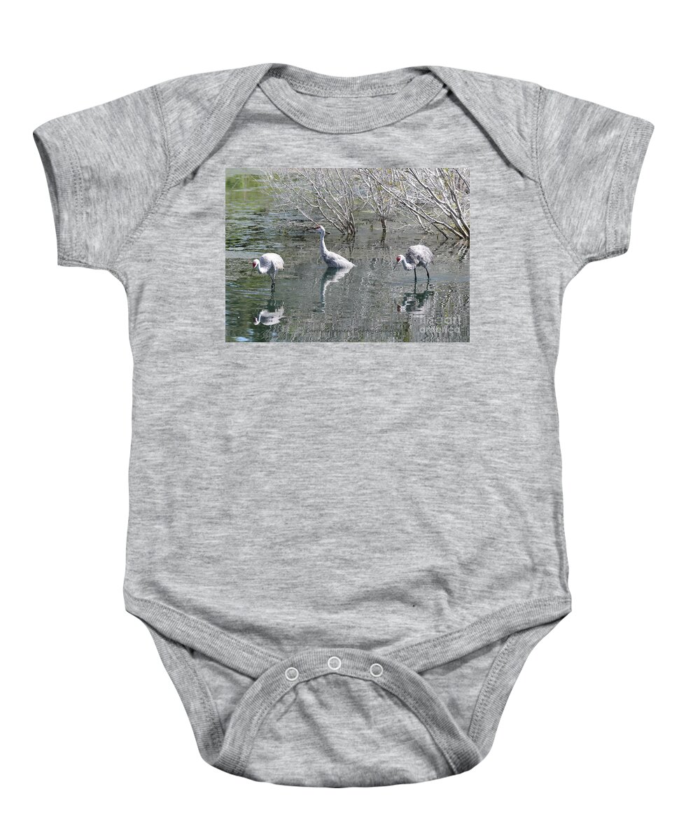 Three Sandhill Cranes Baby Onesie featuring the photograph Three Sandhills through the Pond by Carol Groenen