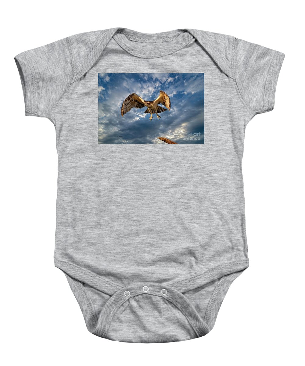 Ospreys Baby Onesie featuring the photograph Time To Fly TWO by DB Hayes