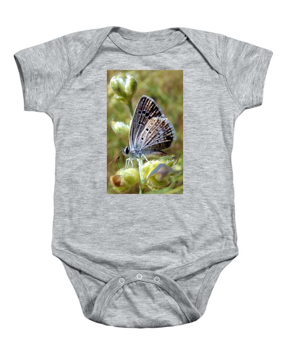 Butterfly Baby Onesie featuring the mixed media Tiny Silver Butterfly on Fuzzy Wildflower by Shelli Fitzpatrick