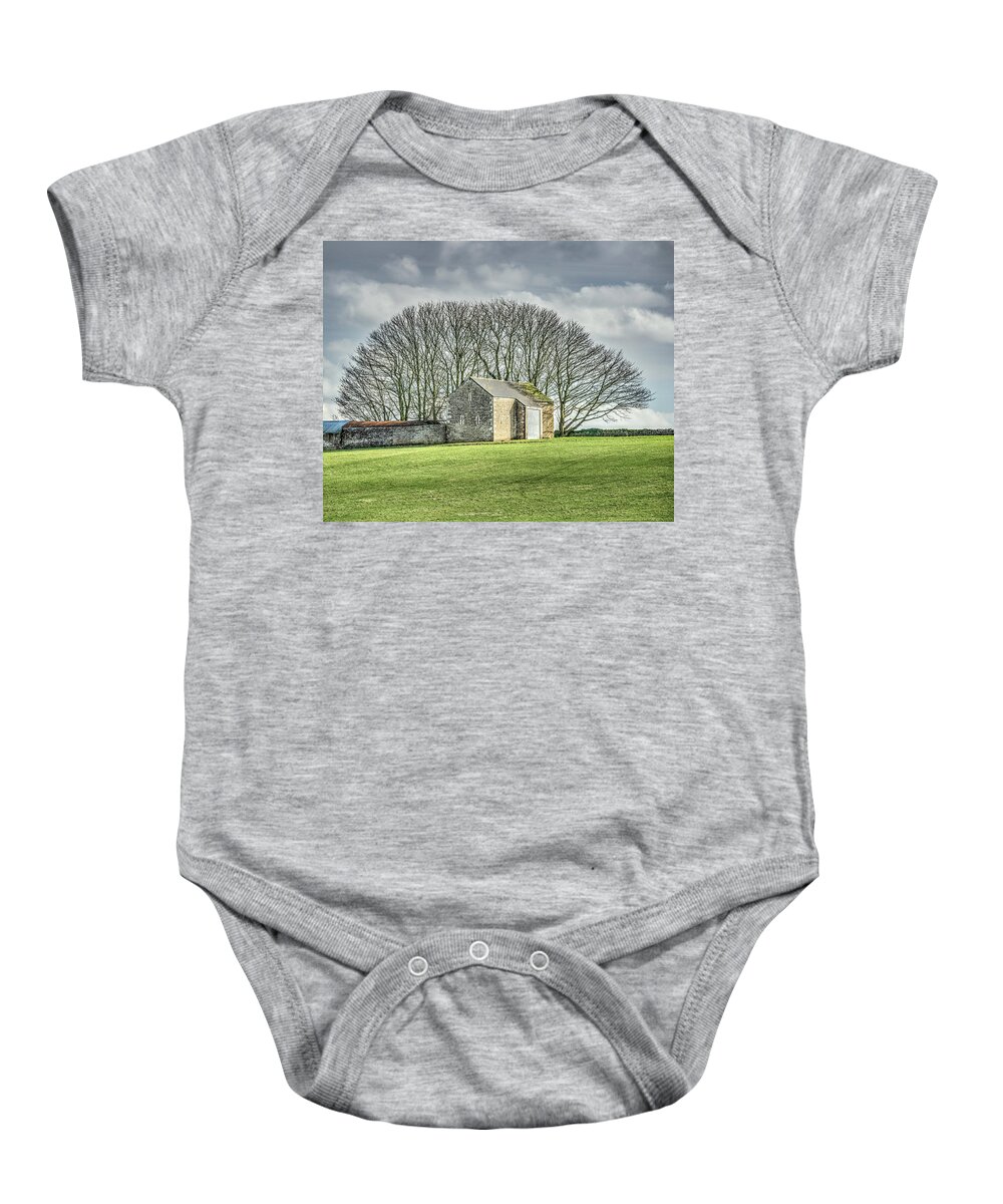 Tourism Baby Onesie featuring the photograph Tree Fan by Laura Hedien