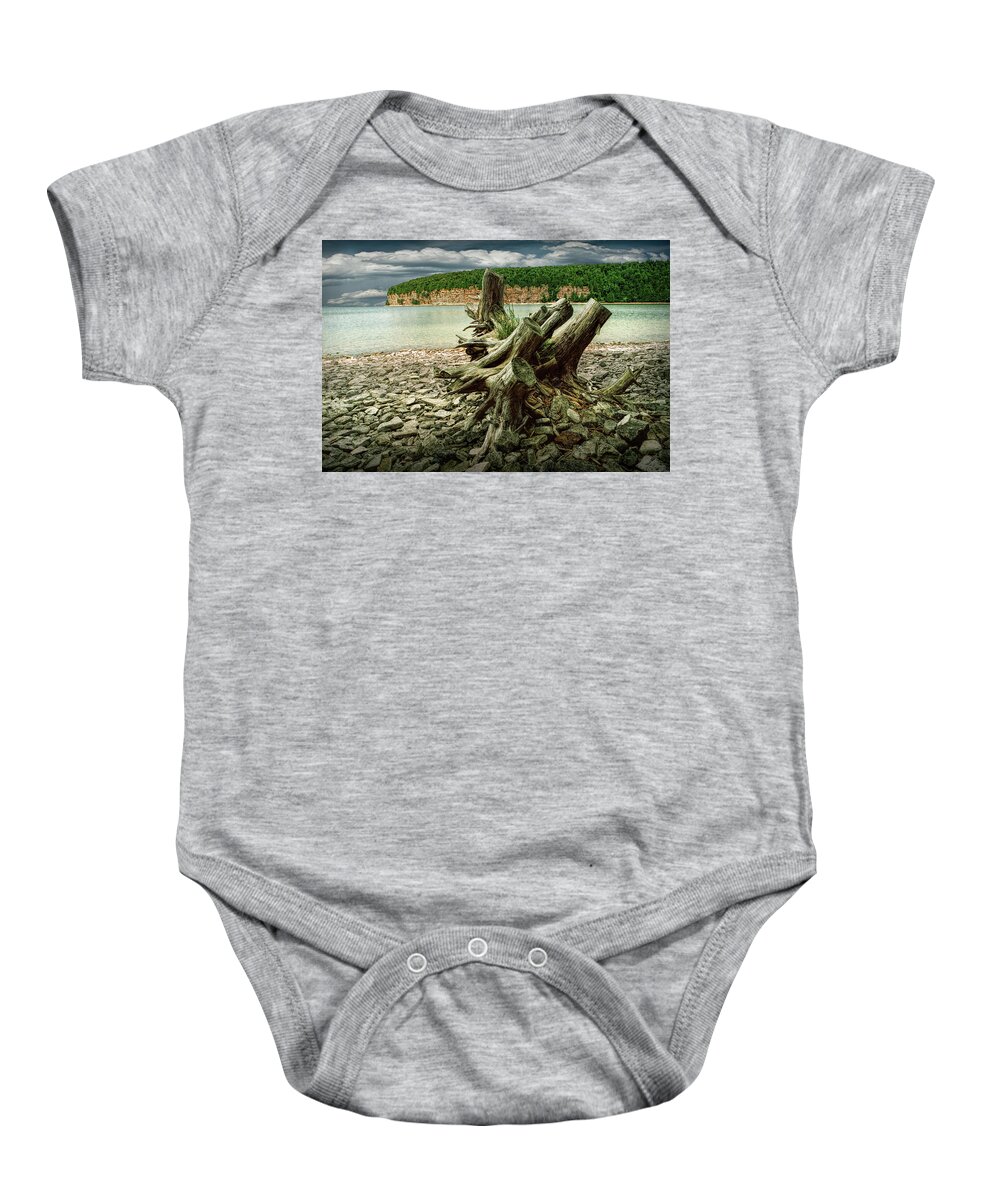 Overcast Baby Onesie featuring the photograph Tree Stump at Fayette Michigan State Park in the Upper Peninsula by Randall Nyhof