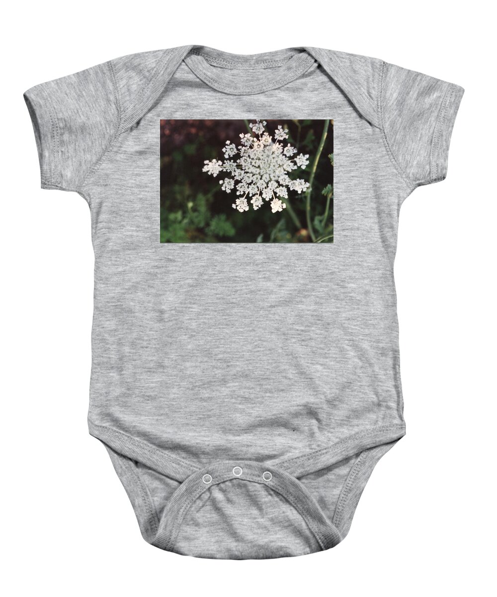Flower Baby Onesie featuring the painting Vintage Photo of Flowers and Garden 1970s - 1980s - 045 by Celestial Images