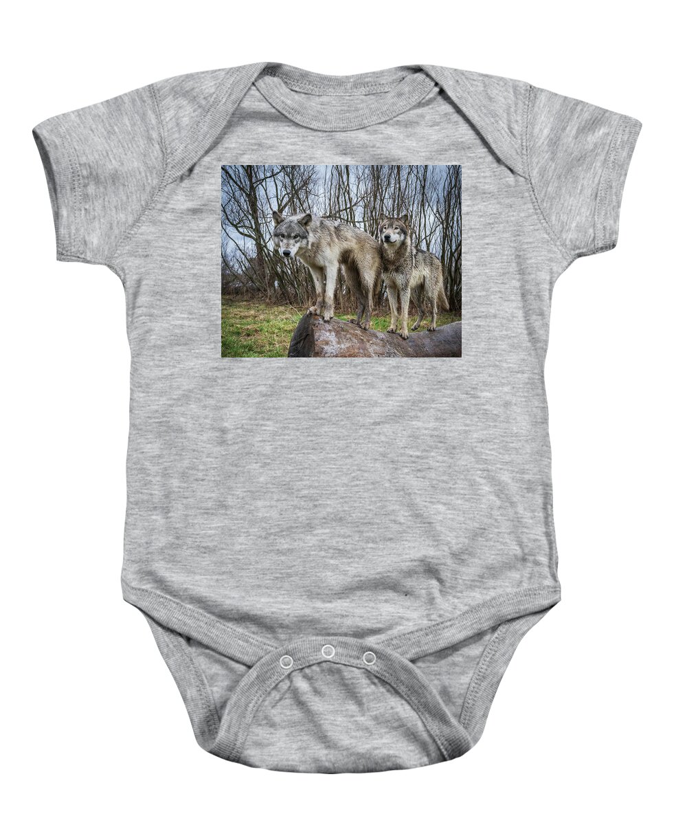 Wolves Wolf Baby Onesie featuring the photograph Well hello by Laura Hedien