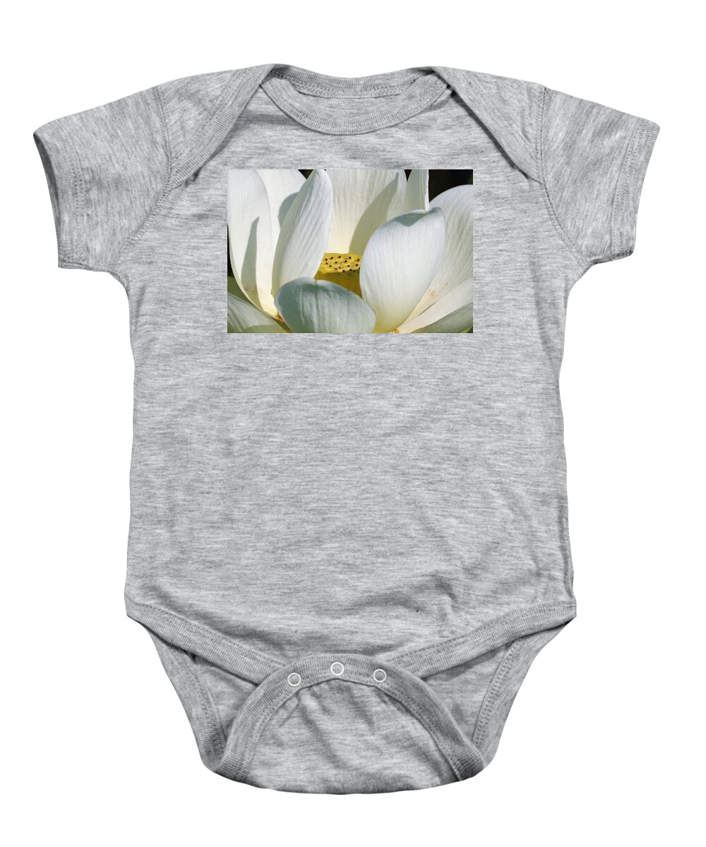 Nature Baby Onesie featuring the photograph White Lotus Flower by Sheila Brown