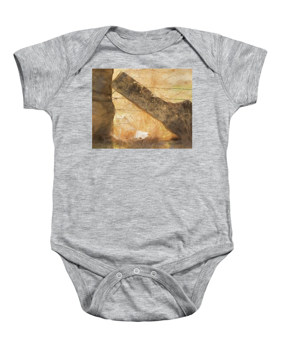 Kansas Baby Onesie featuring the photograph White-tail Deer 010 by Rob Graham