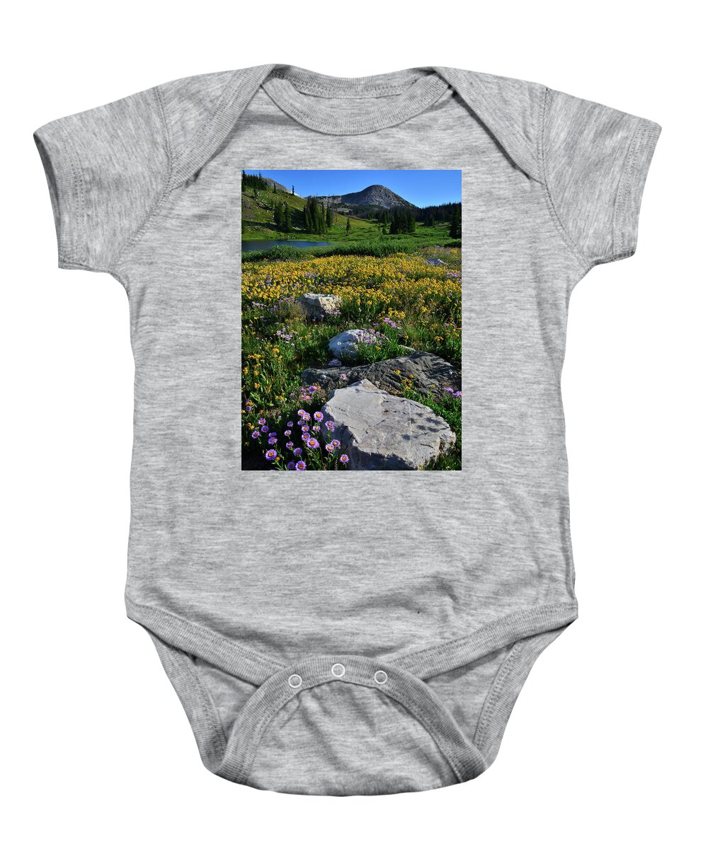 Snowy Range Mountains Baby Onesie featuring the photograph Wildflowers Bloom in Snowy Range by Ray Mathis