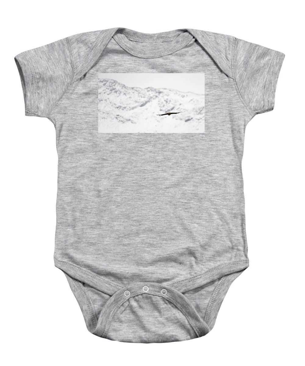 White Baby Onesie featuring the photograph Winter White-Tailed Eagle by Pete Walkden