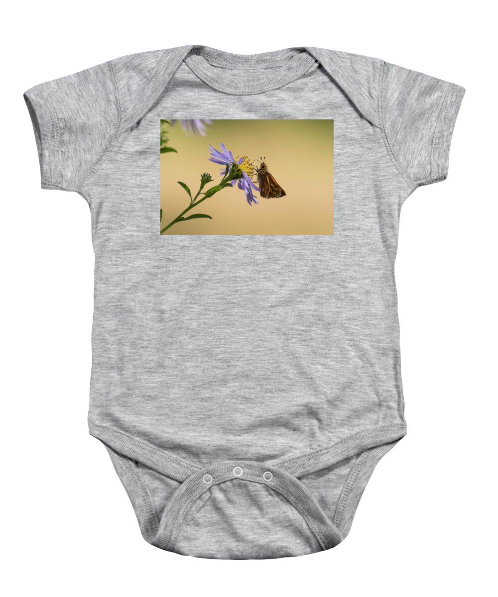 Animals Baby Onesie featuring the photograph Woodland Skipper on Aster by Robert Potts