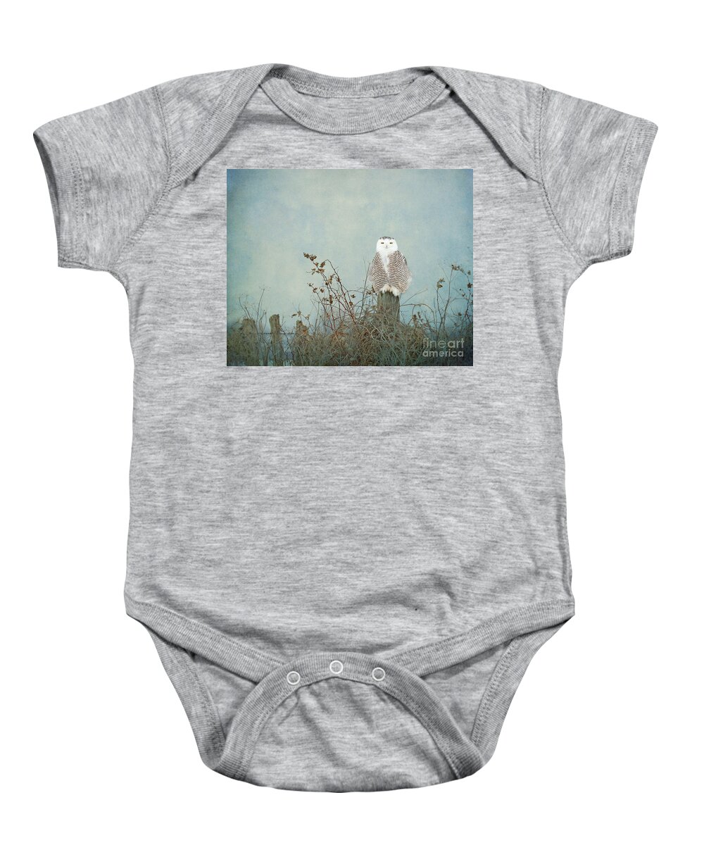 Snowy Owls Baby Onesie featuring the photograph You are too beautiful by Heather King