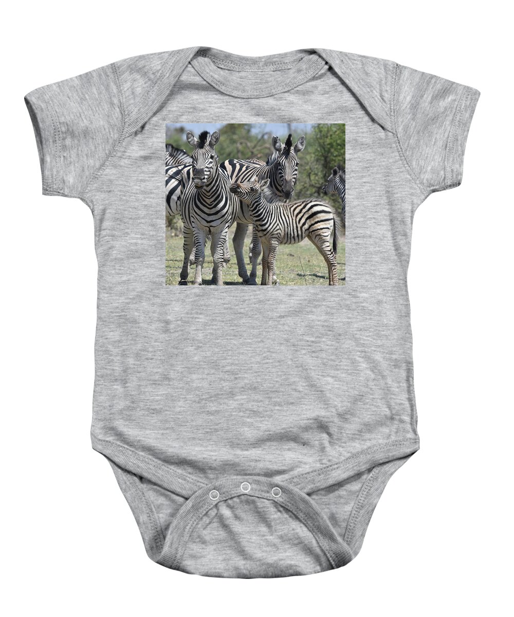 Zebra Baby Onesie featuring the photograph Zebra Family by Ben Foster