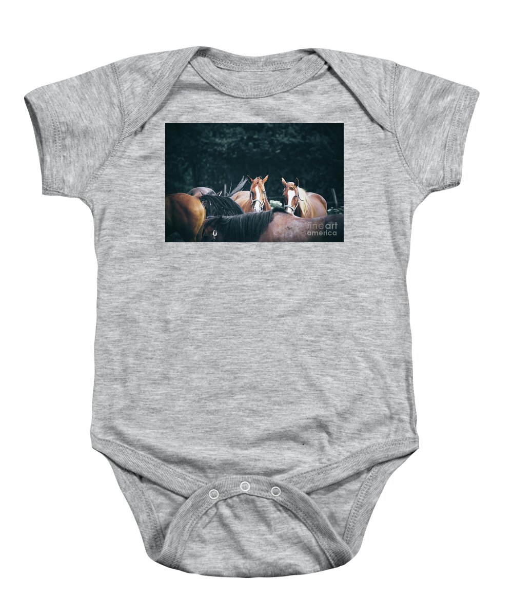 Horse Baby Onesie featuring the photograph Calm horses at sunset by Dimitar Hristov