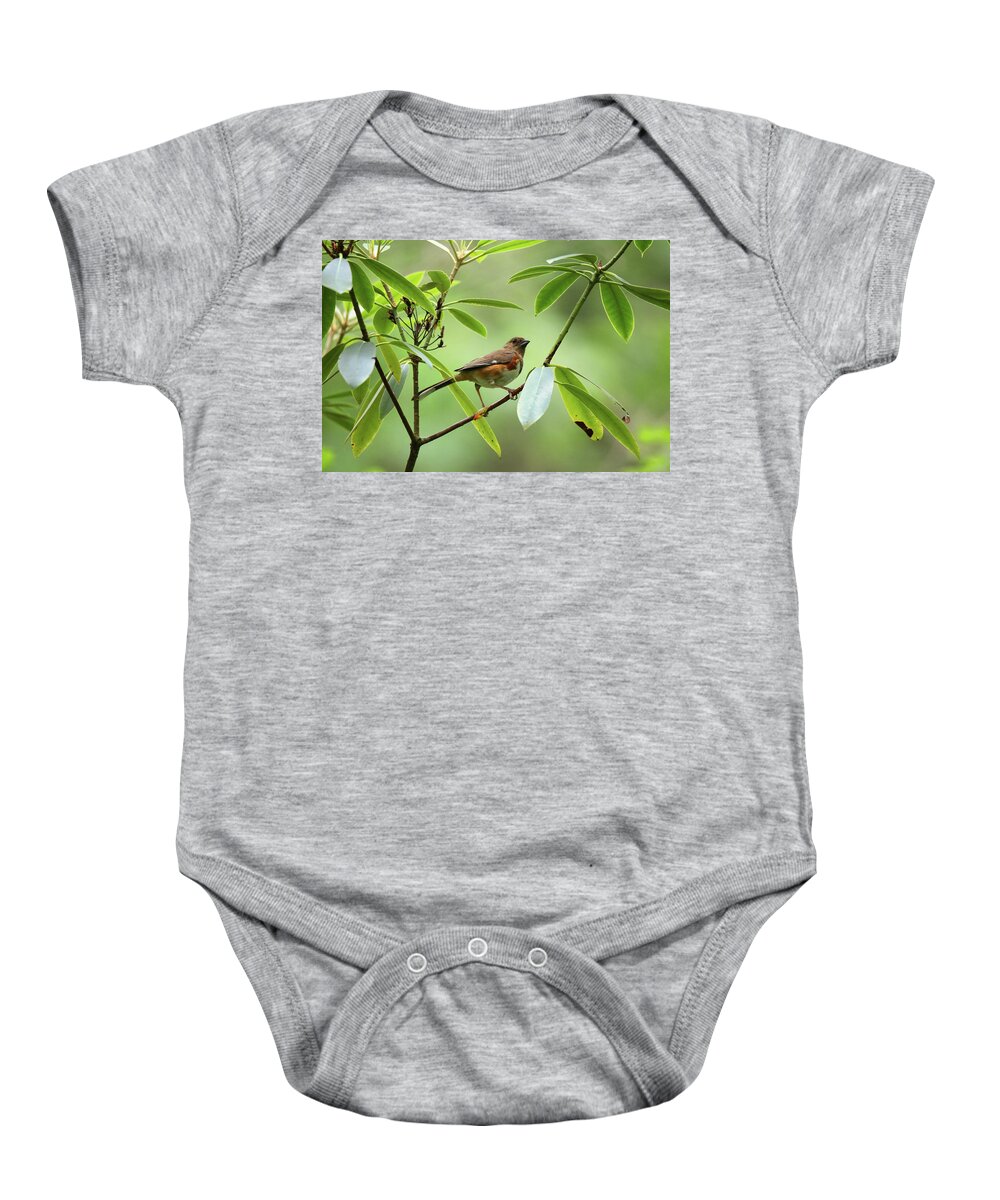 Eastern Towhee Baby Onesie featuring the photograph Eastern Towhee #1 by Scott Burd