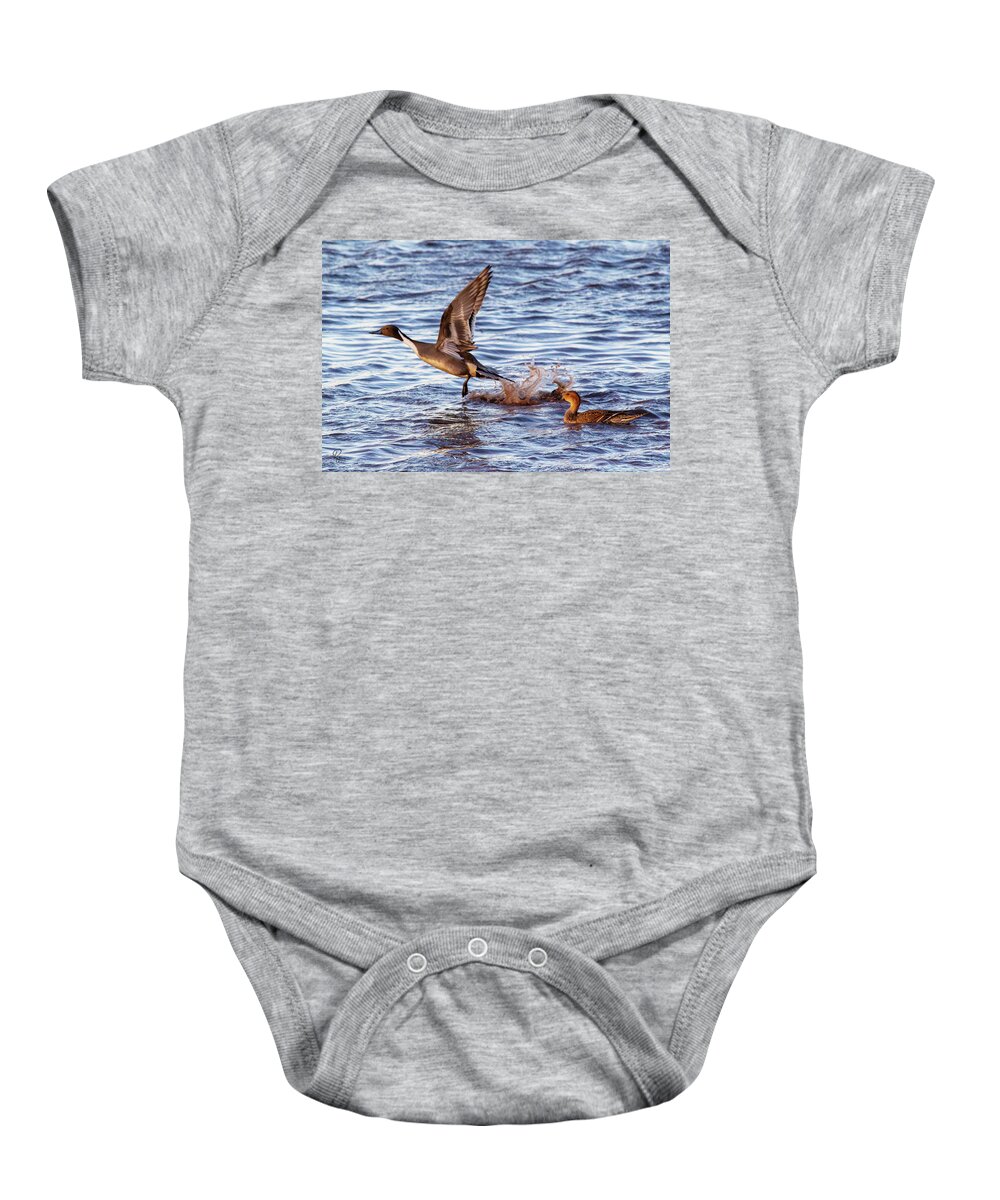 Arizona Baby Onesie featuring the photograph Pintail #1 by Robert Harris