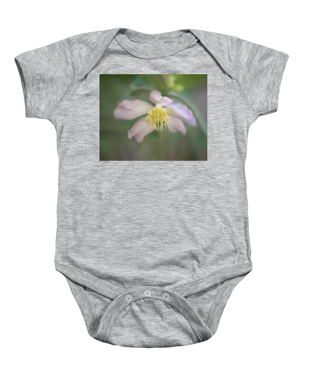 Flower Baby Onesie featuring the photograph Soft Pink Camellia #1 by Teresa Wilson