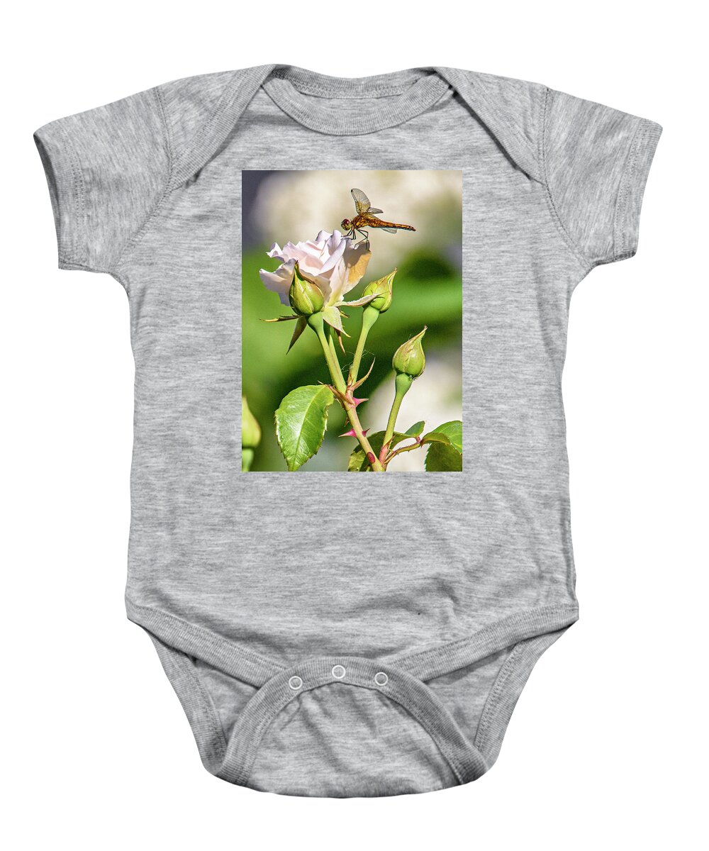 Dragonfly Baby Onesie featuring the photograph Untitled_dra #1 by Paul Vitko