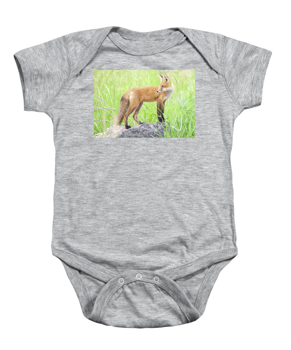 Redfox Baby Onesie featuring the photograph Fox Kit #10 by Brook Burling