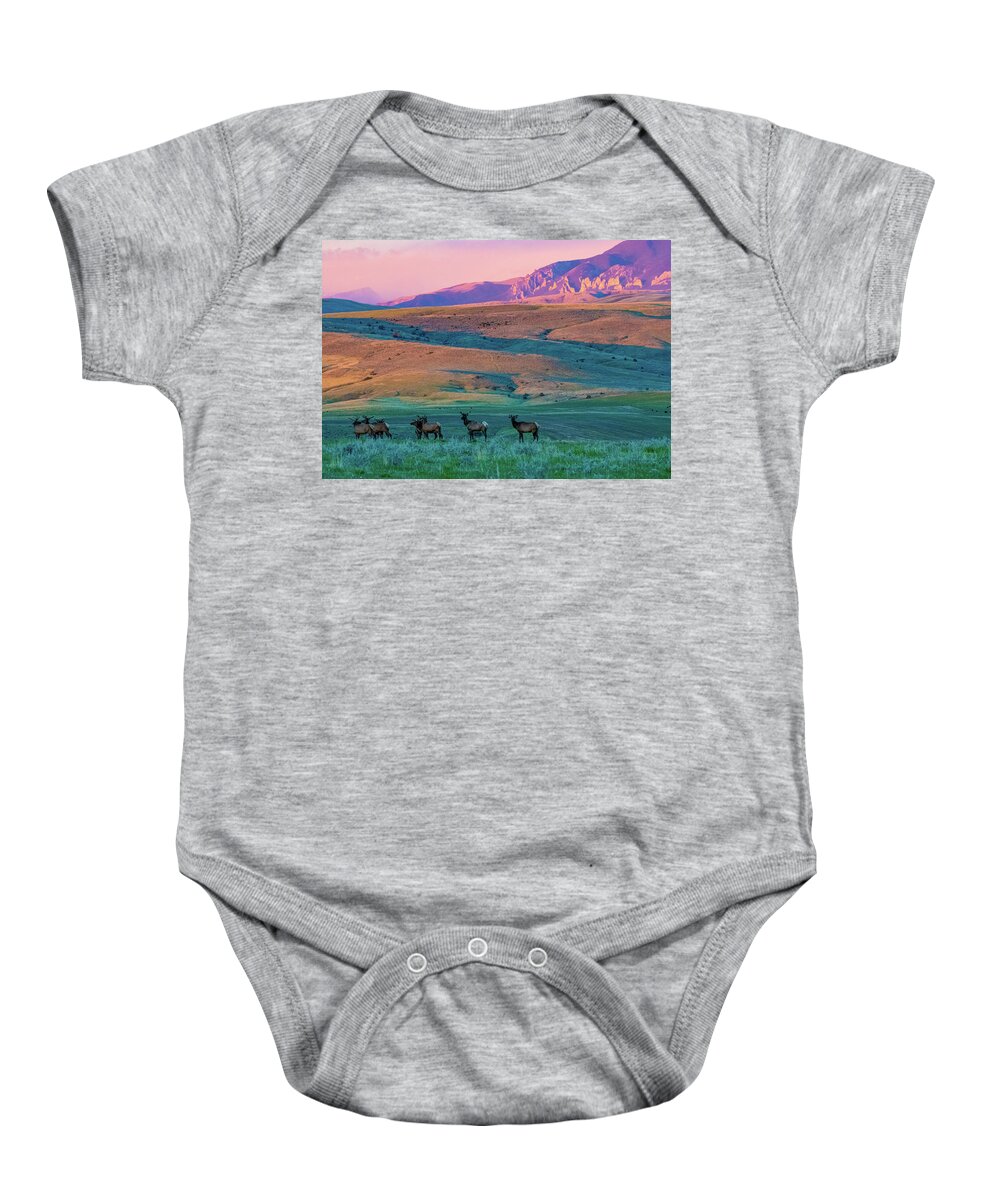 Elk Baby Onesie featuring the photograph Elk At Sunrise #2 by Gary Beeler