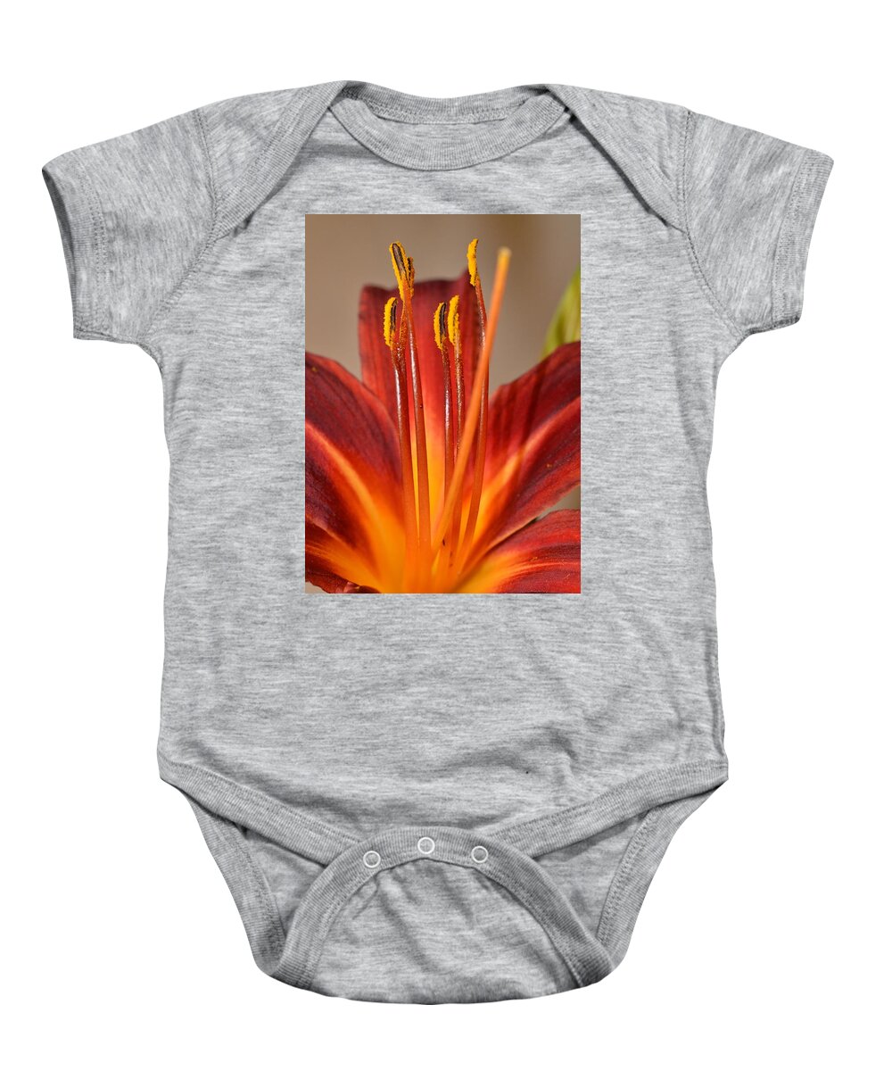 Lily Baby Onesie featuring the photograph Fire Lily 2 by Amy Fose