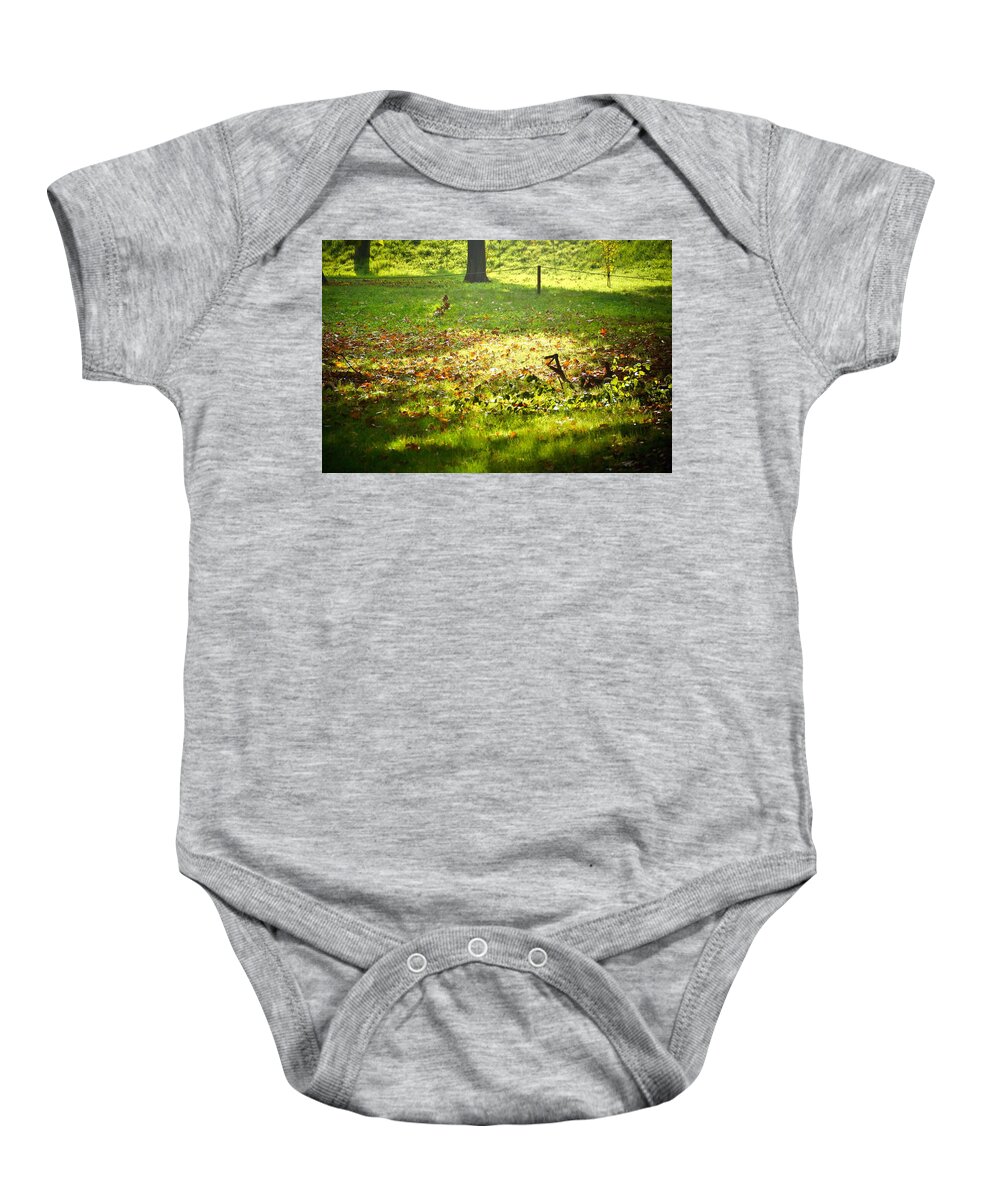 Trees Baby Onesie featuring the photograph Parco Cavour. Ottobre 2016 #4 by Marco Cattaruzzi