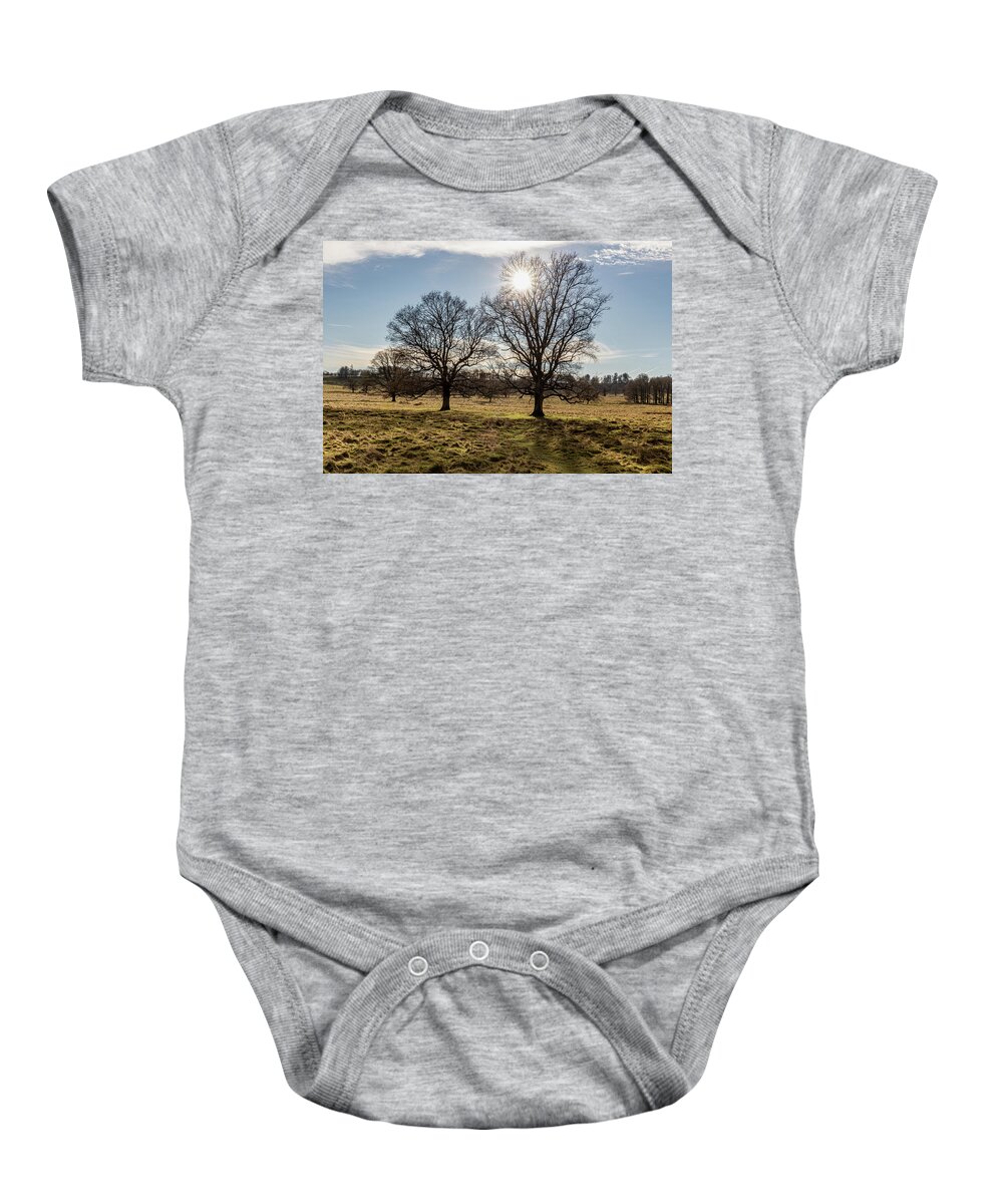 Landscape Baby Onesie featuring the photograph Winter sun #2 by Shirley Mitchell