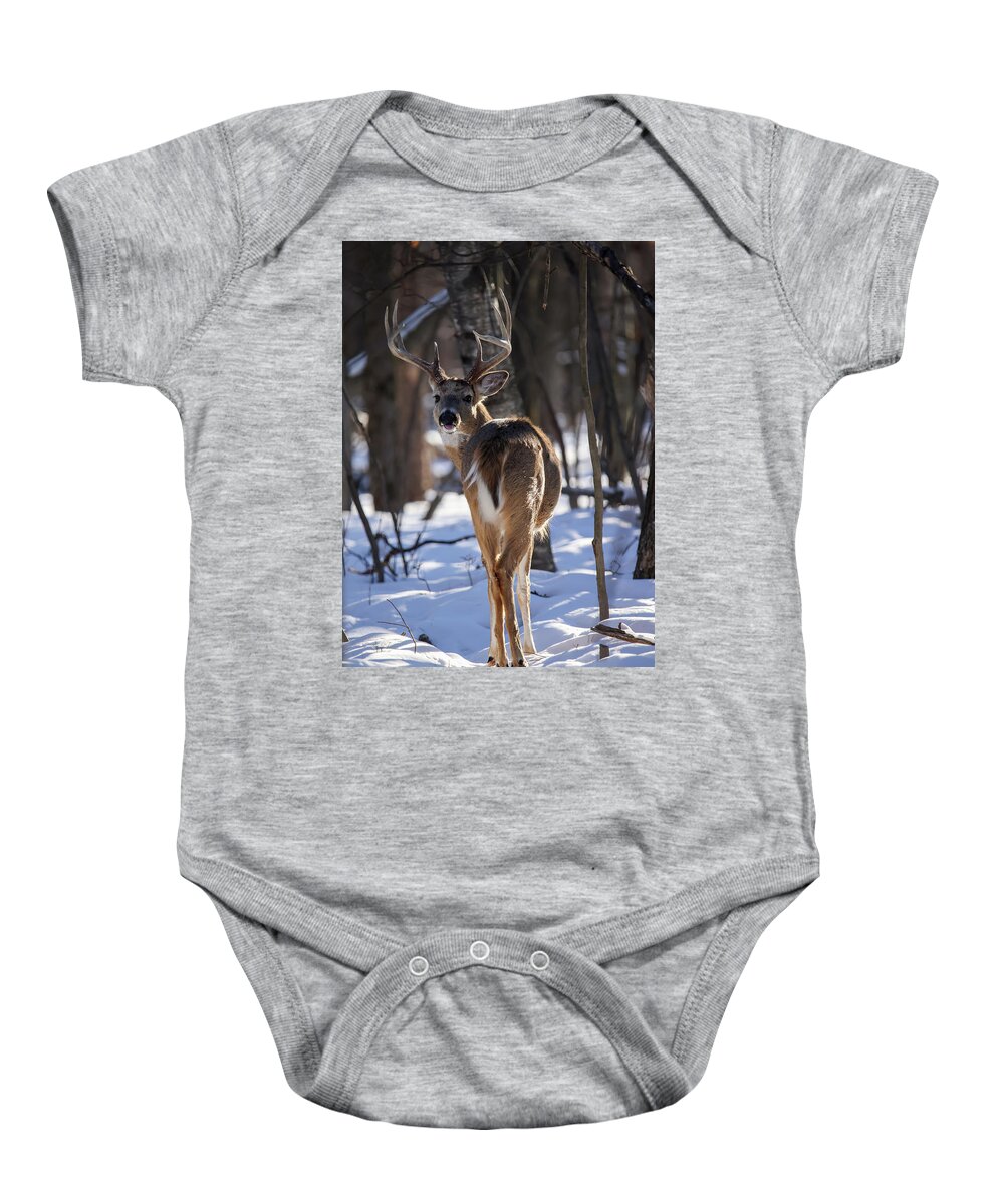 Whitetail Baby Onesie featuring the photograph Whitetail Buck #21 by Brook Burling
