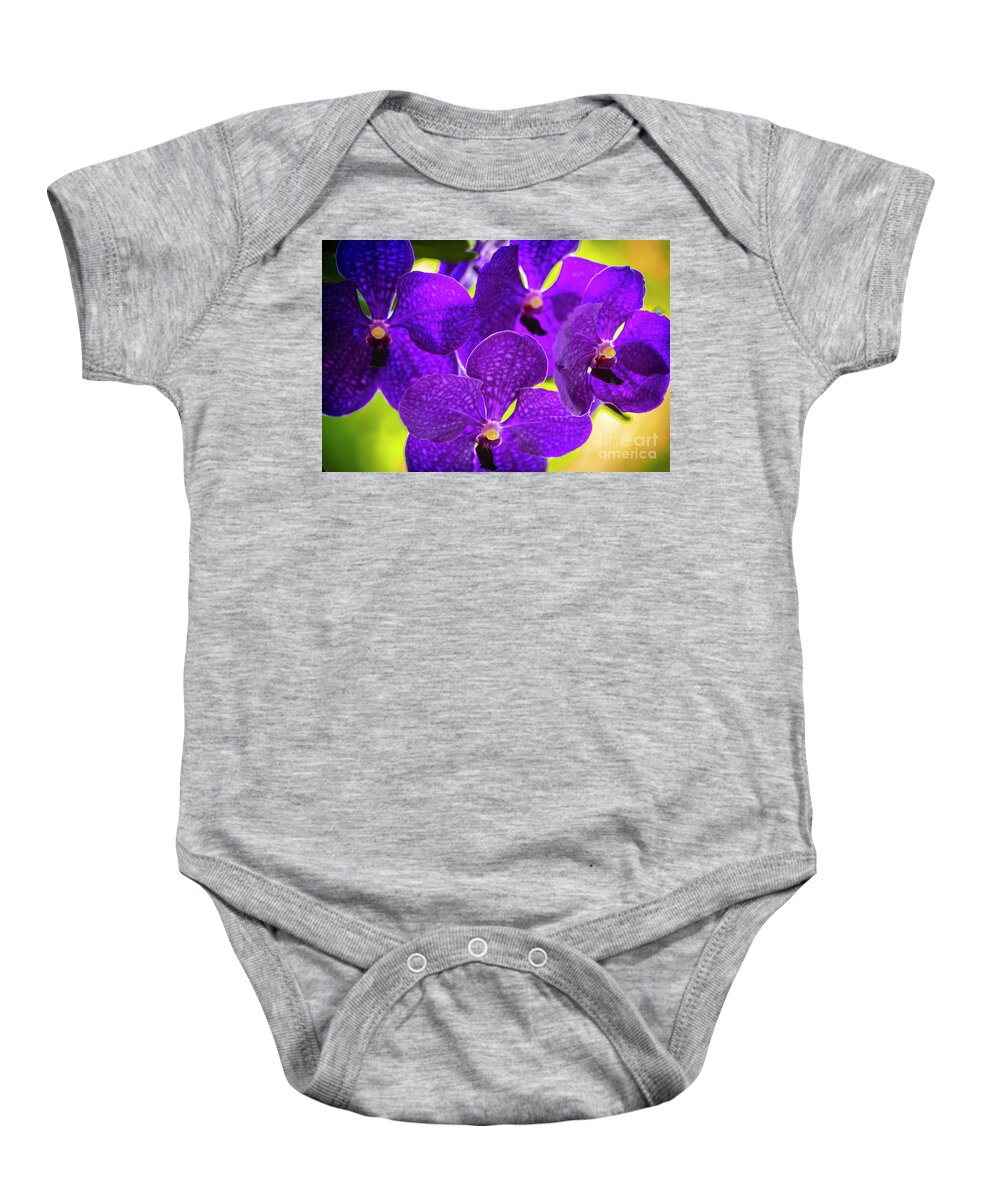 Background Baby Onesie featuring the photograph Purple Orchid Flowers #35 by Raul Rodriguez
