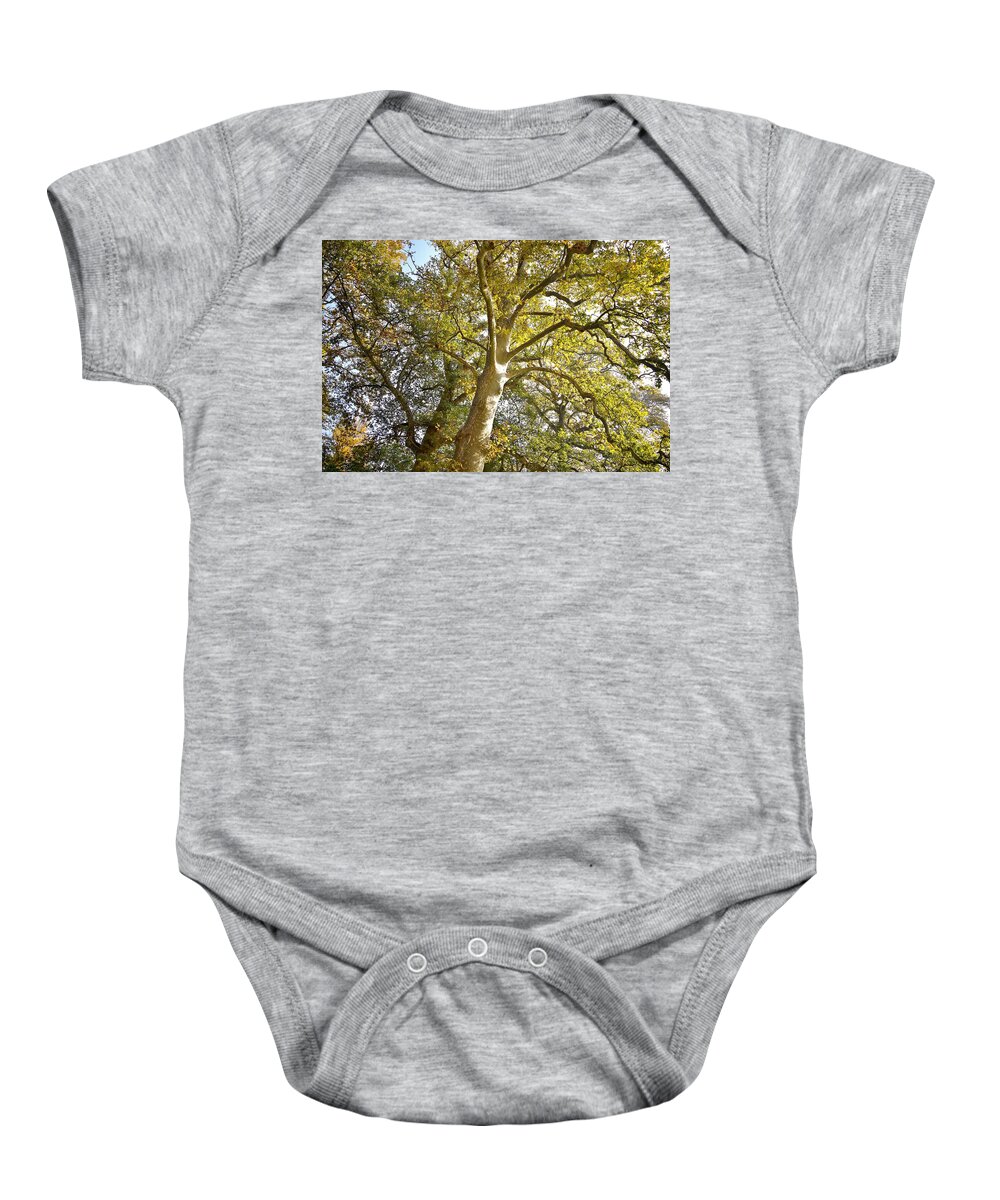Trees Baby Onesie featuring the photograph Parco Cavour. Ottobre 2016 #2 by Marco Cattaruzzi