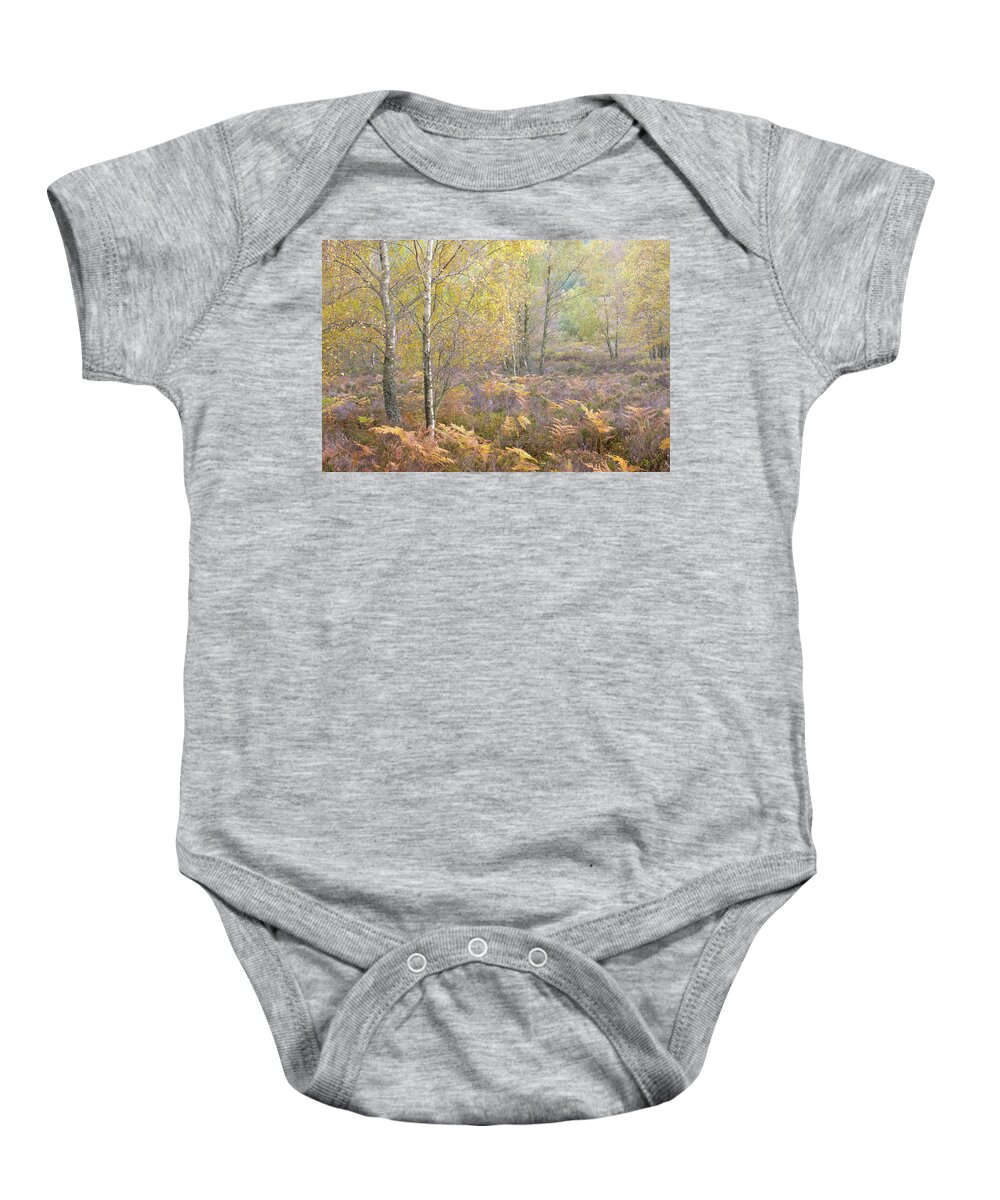 Autumn Baby Onesie featuring the photograph Autumn with bilberries, bracken and silver birch trees #5 by Anita Nicholson