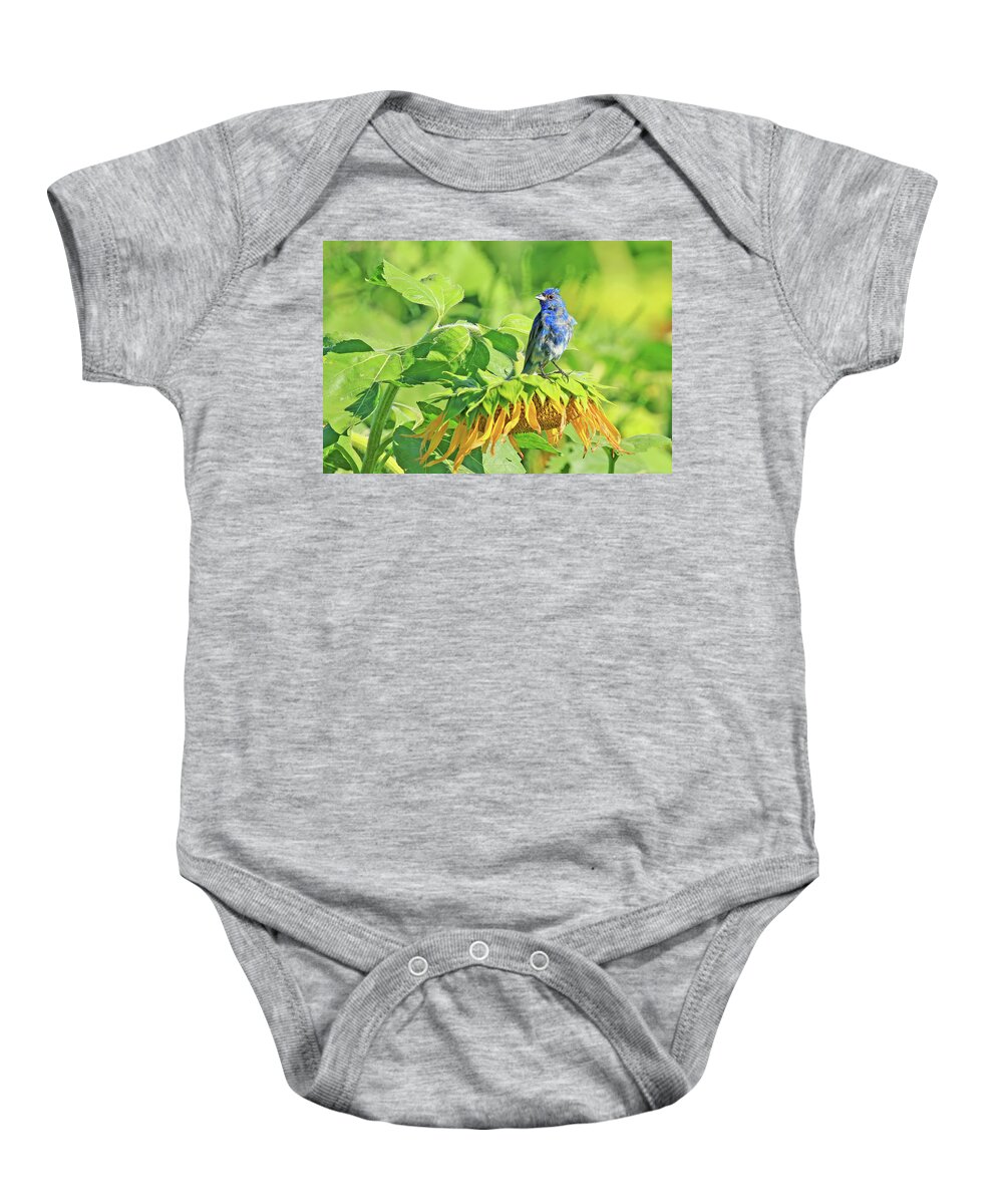 Indigo Bunting Baby Onesie featuring the photograph An Indigo Bunting Perched on a Sunflower #6 by Shixing Wen