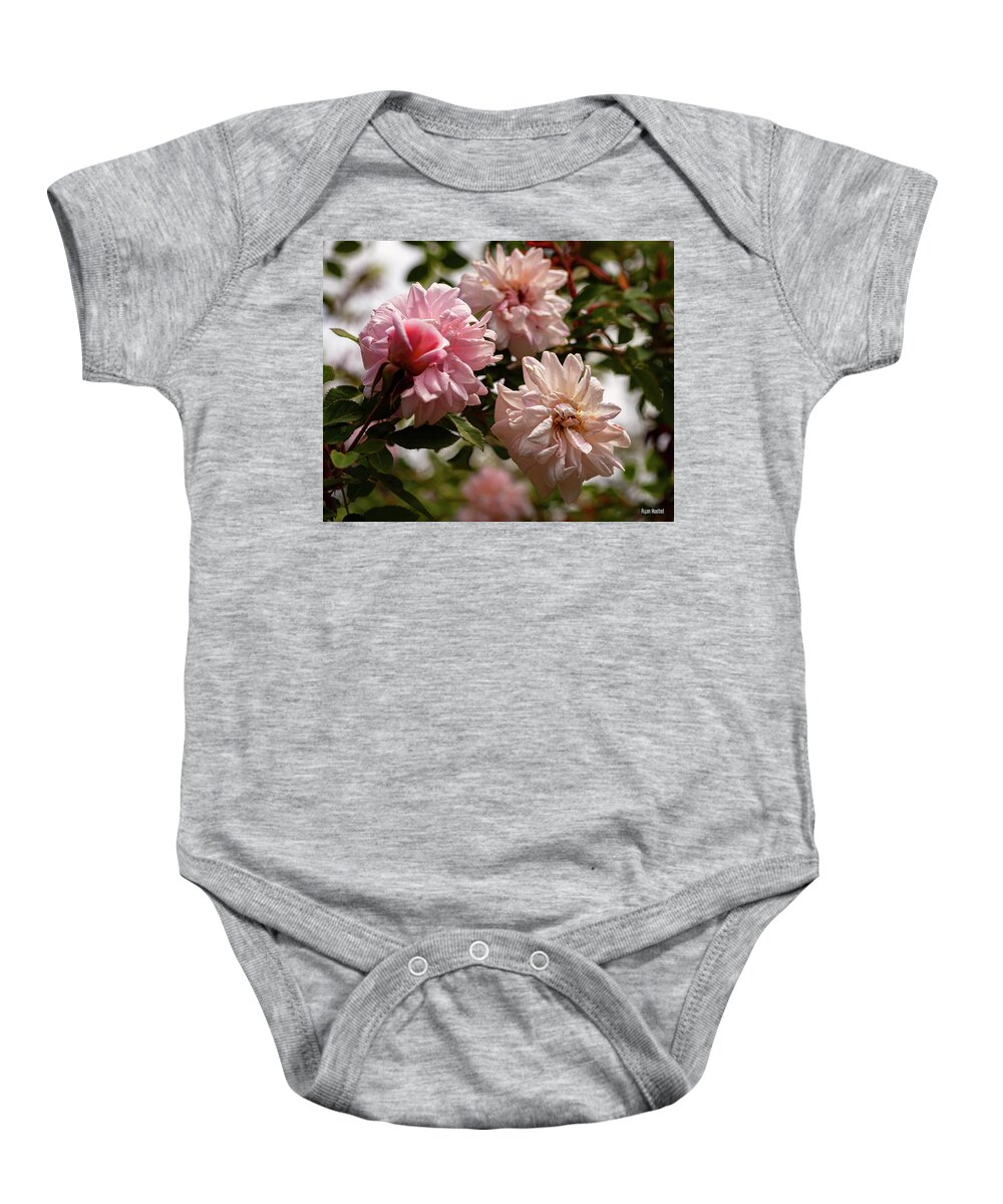 Cecile Brunner Rose Baby Onesie featuring the photograph A Muted Bunch by Ryan Huebel