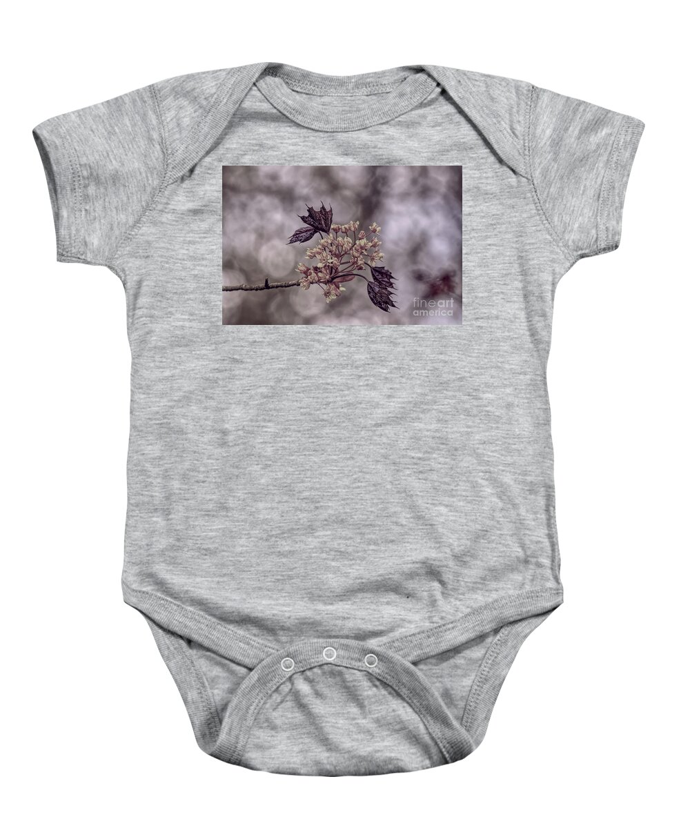 Pastel Baby Onesie featuring the photograph A pastel Red Maple bloom by Pics By Tony