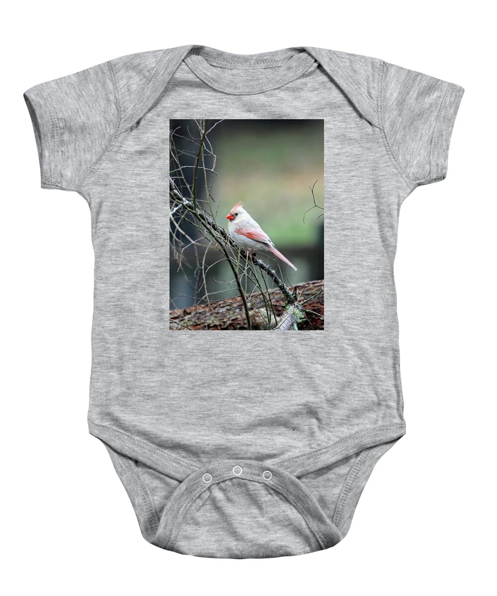 Northern Cardinal Baby Onesie featuring the photograph A Rare Northerner by Jennifer Robin